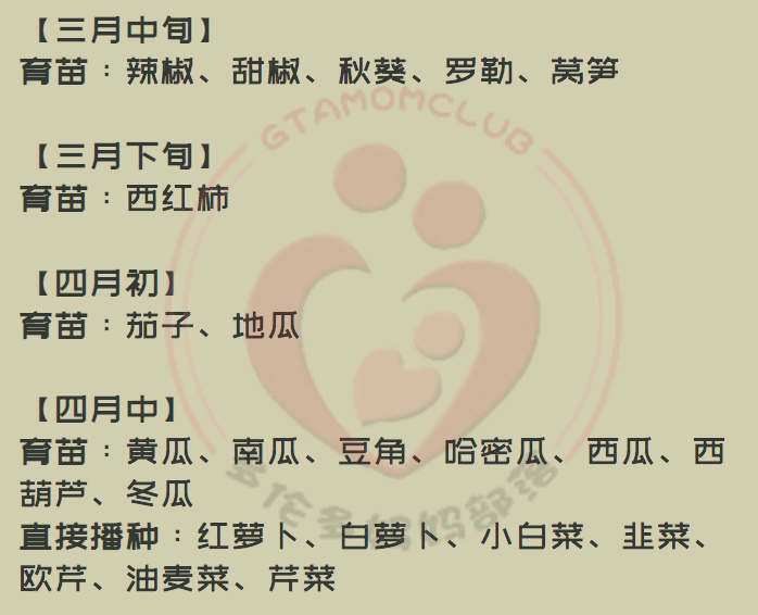 血脉觉醒!超市开始卖种子了:多伦多种植蔬菜瓜果,育苗时间表了解一下 血脉觉醒!超市开始卖种子了:多伦多种植蔬菜瓜果,育苗时间表了解一下