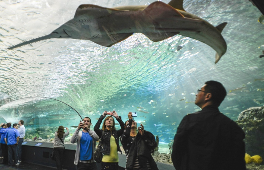【Sea The Sky】CN Tower+水族馆联合优惠“海空”套票，立省$13！