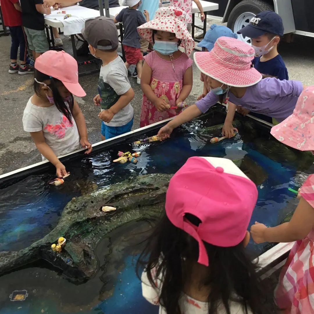 讲真，给娃挑夏令营一点都不难：吃！玩！学！这家蒙校夏令营都完美get