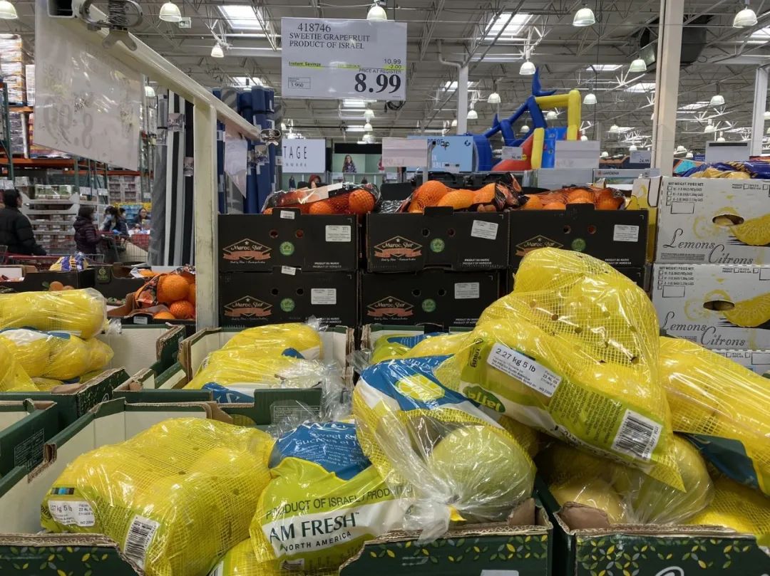 Costco本周门店实拍：看物价！看收据！看存款！凉凉了~