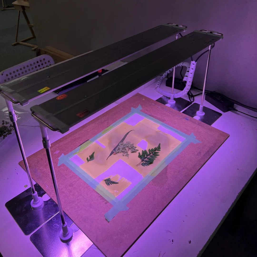 含金量爆表！G7-G12多伦多最专业的美术暑期集训