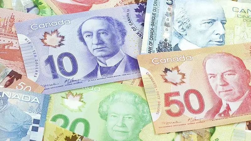 安省家庭最高可领$976,今年碳税补贴已发:没拿到该怎么办? 安省家庭最高可领$976,今年碳税补贴已发:没拿到该怎么办?