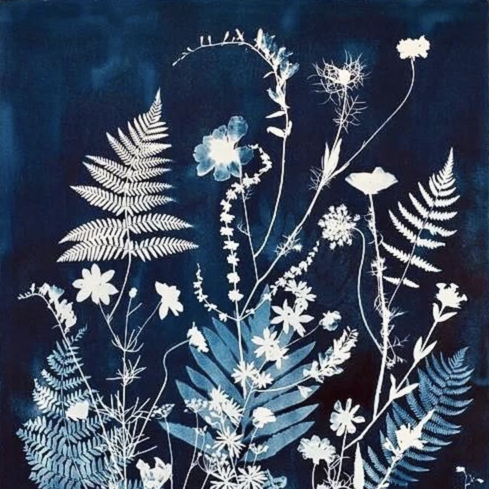 含金量爆表！G7-G12多伦多最专业的美术暑期集训