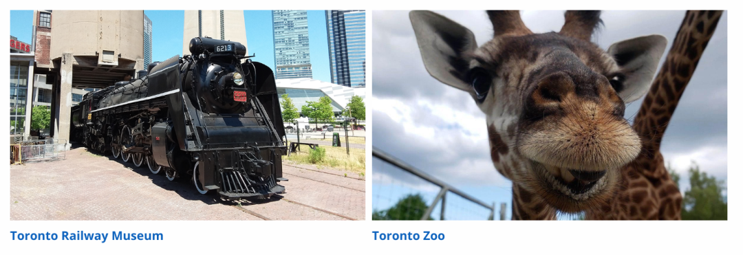 多伦多图书馆福利:景点门票升级“云抢票”!水族馆、动物园免费玩! 多伦多图书馆福利:景点门票升级“云抢票”!水族馆、动物园免费玩!