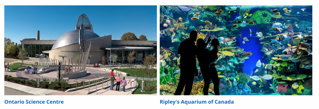 多伦多图书馆福利:景点门票升级“云抢票”!水族馆、动物园免费玩! 多伦多图书馆福利:景点门票升级“云抢票”!水族馆、动物园免费玩!