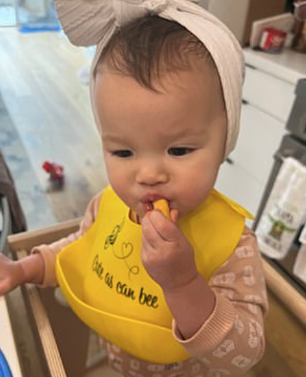 慎入!营养还省钱?多伦多网红喂娃吃虫子:蟋蟀、蚱蜢、蚂蚁... 慎入!营养还省钱?多伦多网红喂娃吃虫子:蟋蟀、蚱蜢、蚂蚁...