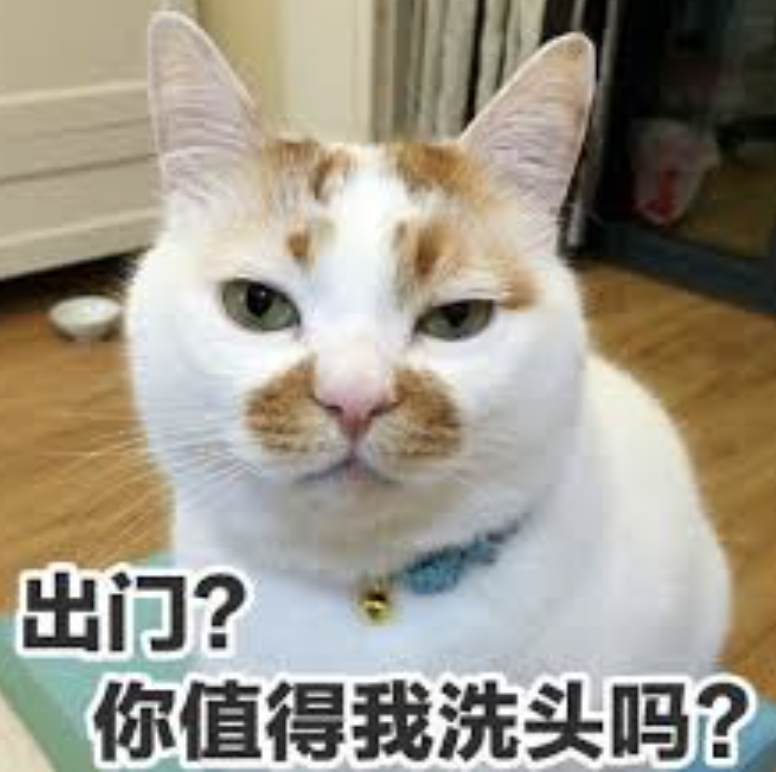 Costco本周门店实拍:在大大的超市里挖啊挖啊挖,赚多少钱都不够我来这儿花 Costco本周门店实拍:在大大的超市里挖啊挖啊挖,赚多少钱都不够我来这儿花
