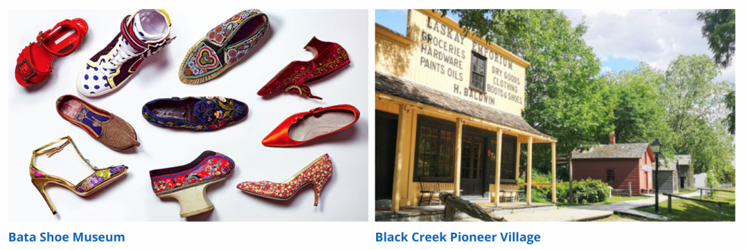 多伦多图书馆福利:景点门票升级“云抢票”!水族馆、动物园免费玩! 多伦多图书馆福利:景点门票升级“云抢票”!水族馆、动物园免费玩!