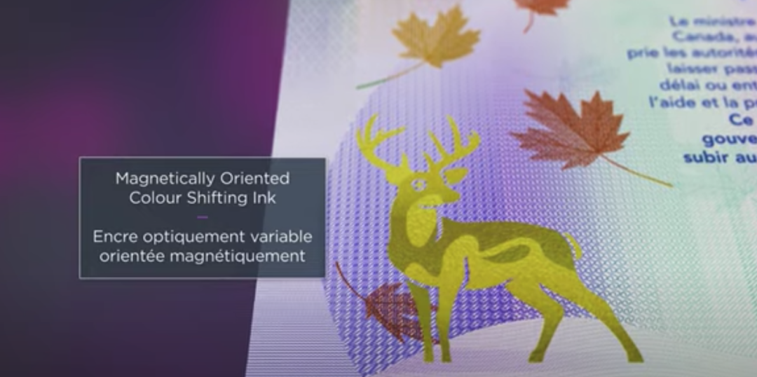 不红！围观加拿大新护照设计最终版：你觉得好看吗？