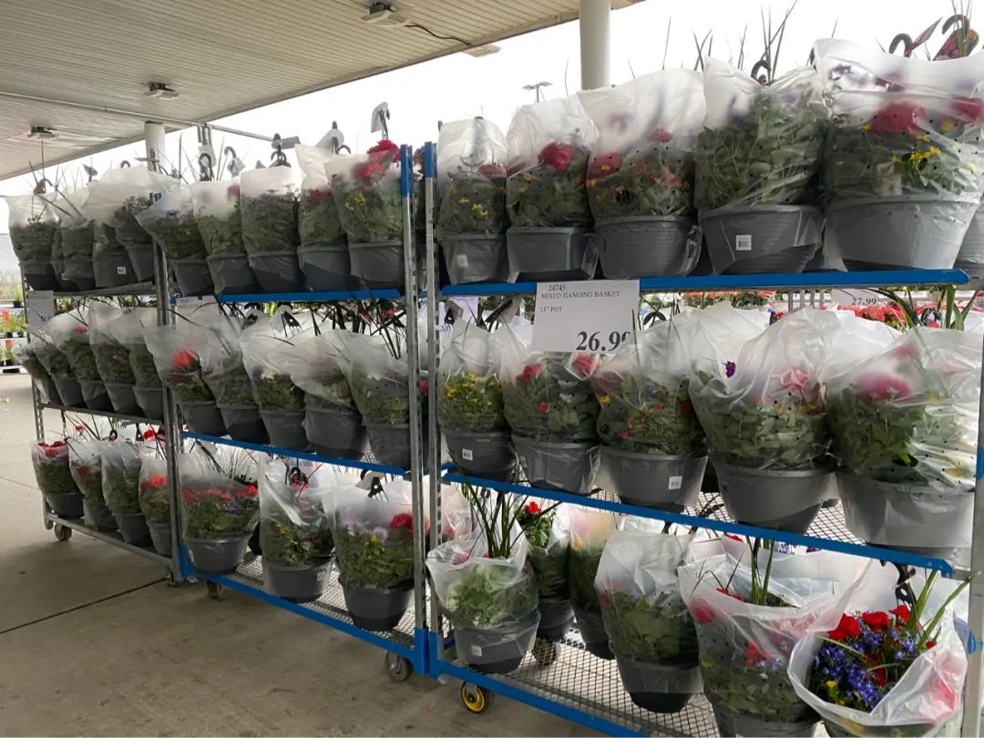 Costco本周门店实拍：在大大的超市里挖啊挖啊挖，赚多少钱都不够我来这儿花