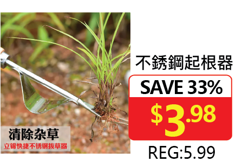 双重折扣！母亲节遇上大多百21周年庆：全场钜惠，赠送象印保温杯