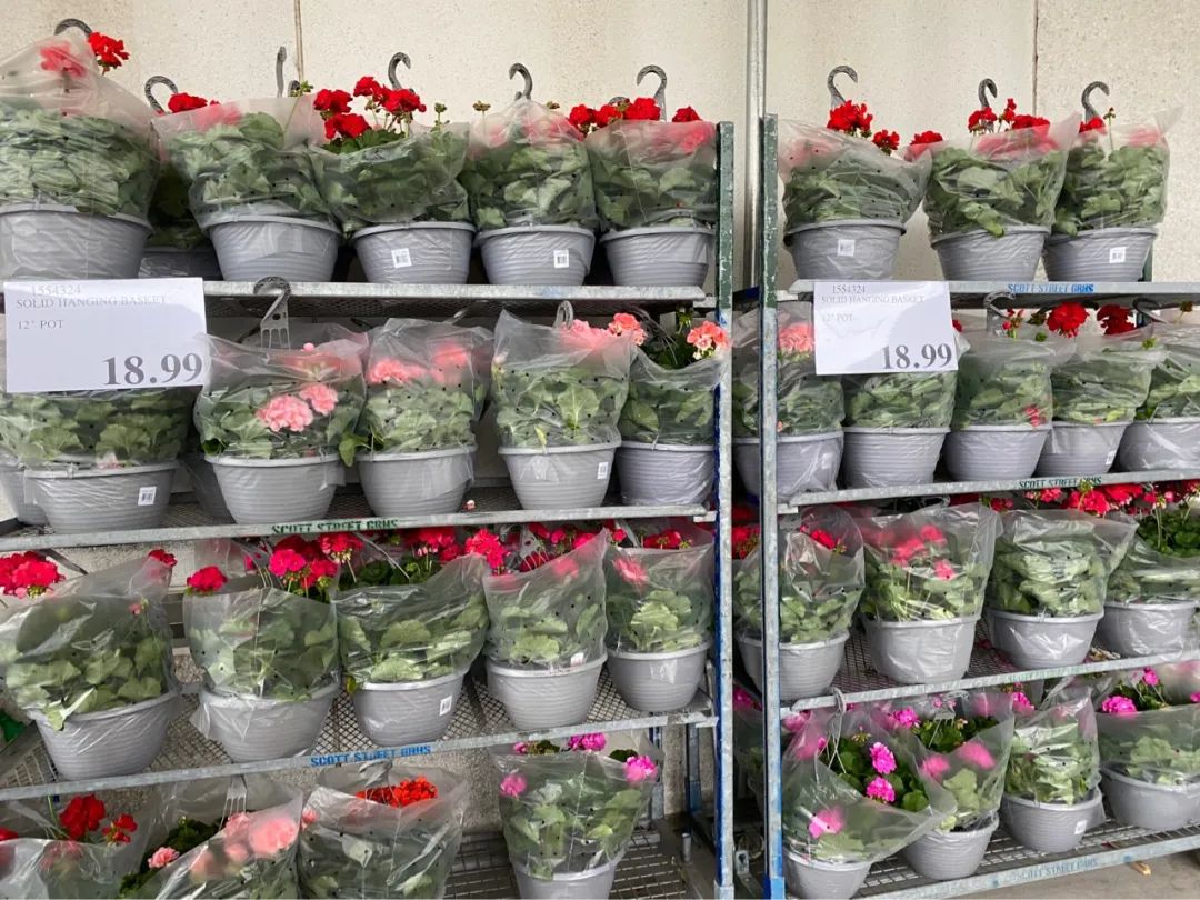 Costco本周门店实拍：在大大的超市里挖啊挖啊挖，赚多少钱都不够我来这儿花
