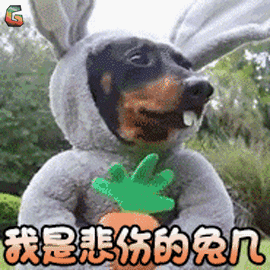 绝不认怂!后院野兔驱赶技术流:物理攻击和魔法攻击叠buff 绝不认怂!后院野兔驱赶技术流:物理攻击和魔法攻击叠buff