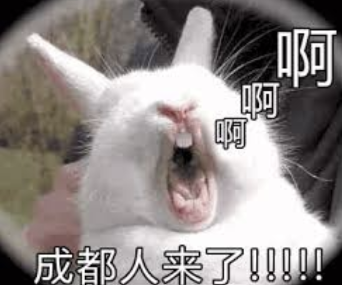 绝不认怂!后院野兔驱赶技术流:物理攻击和魔法攻击叠buff 绝不认怂!后院野兔驱赶技术流:物理攻击和魔法攻击叠buff