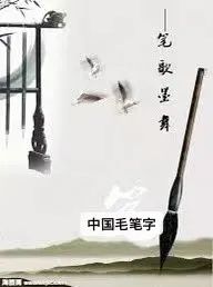 三大校区同时招生!性价比超高!全语言模式的中文夏令营找到了 三大校区同时招生!性价比超高!全语言模式的中文夏令营找到了
