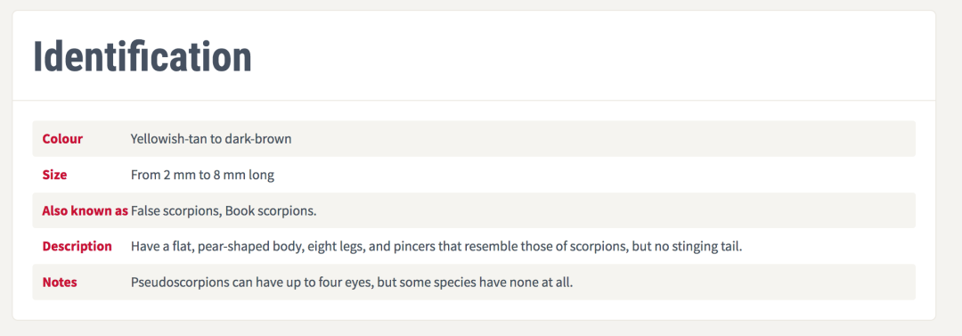 网友：枕头里有“蝎子”是正常的吗？安省已有220起虫害报告：像蝎子又像蜘蛛！（海量虫图，慎点！）