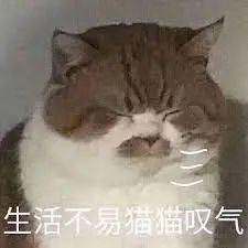 省钱小灯神！Snaplii疯狂撒钱：$1奶茶、超市95折、油卡9折！