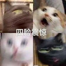 省钱小灯神！Snaplii疯狂撒钱：$1奶茶、超市95折、油卡9折！