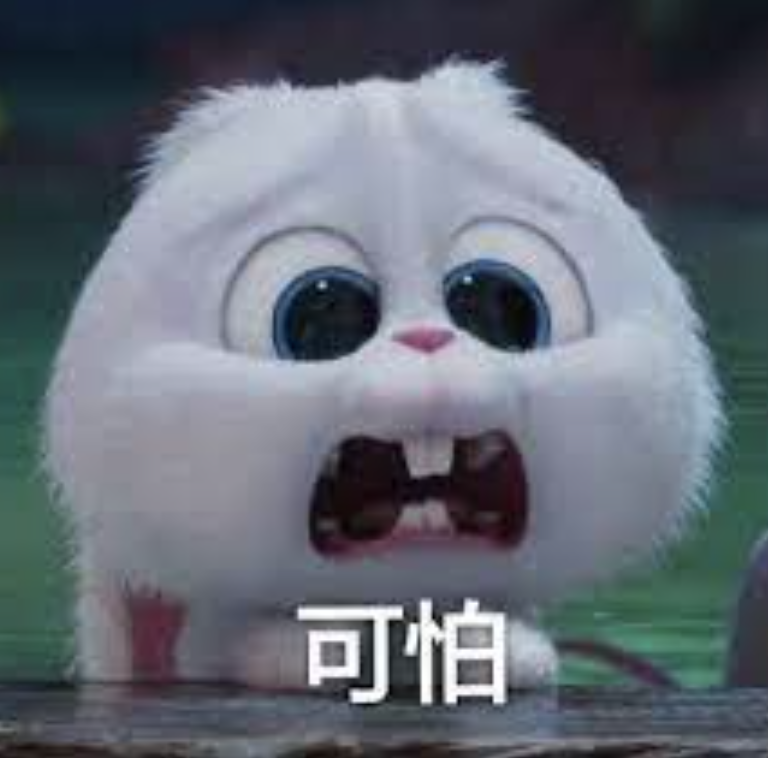 绝不认怂!后院野兔驱赶技术流:物理攻击和魔法攻击叠buff 绝不认怂!后院野兔驱赶技术流:物理攻击和魔法攻击叠buff