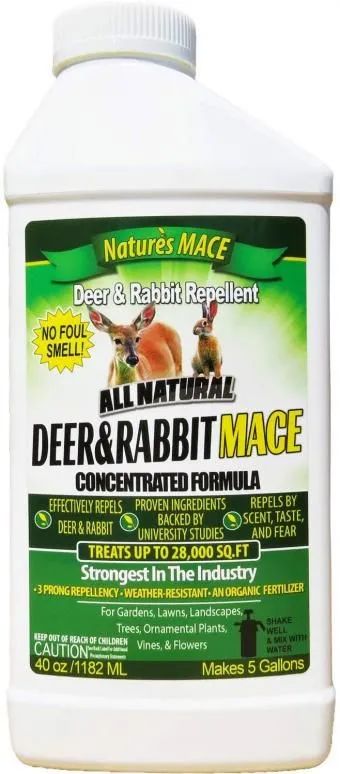 绝不认怂！后院野兔驱赶技术流：物理攻击和魔法攻击叠buff