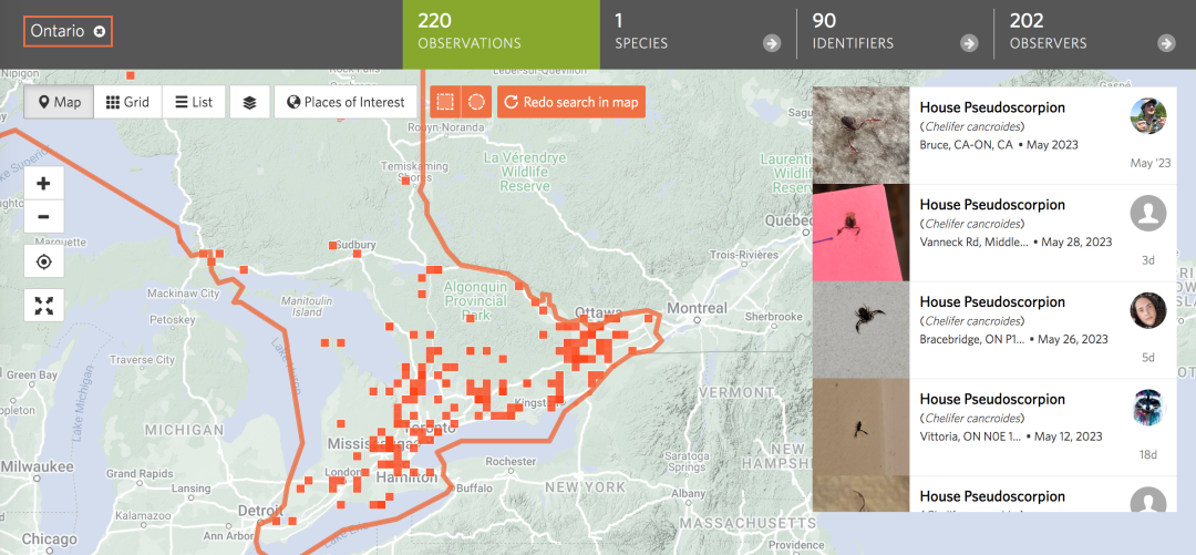 网友：枕头里有“蝎子”是正常的吗？安省已有220起虫害报告：像蝎子又像蜘蛛！（海量虫图，慎点！）