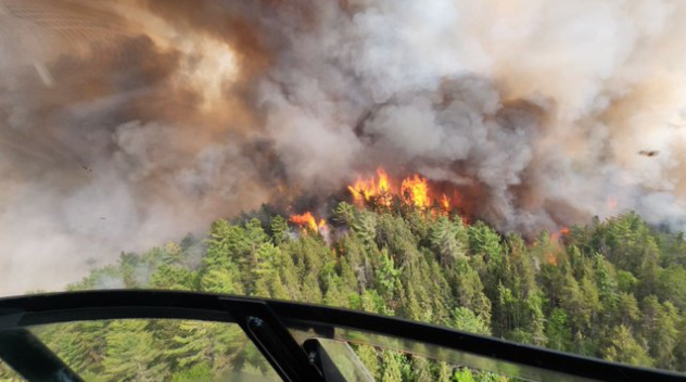 全城“烧烤味”！森林大火还在蔓延，多个教育局宣布取消学生户外活动