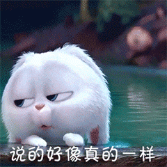 绝不认怂!后院野兔驱赶技术流:物理攻击和魔法攻击叠buff 绝不认怂!后院野兔驱赶技术流:物理攻击和魔法攻击叠buff