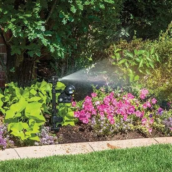 绝不认怂！后院野兔驱赶技术流：物理攻击和魔法攻击叠buff