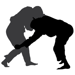 扎克伯格都在练的巴西柔术有多厉害？史上最牛课后班了解一下