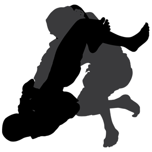 扎克伯格都在练的巴西柔术有多厉害？史上最牛课后班了解一下