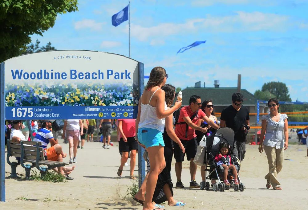 【谷歌评分4.5+】不远不出城：多伦多4个野餐+烧烤体验感超好的公园