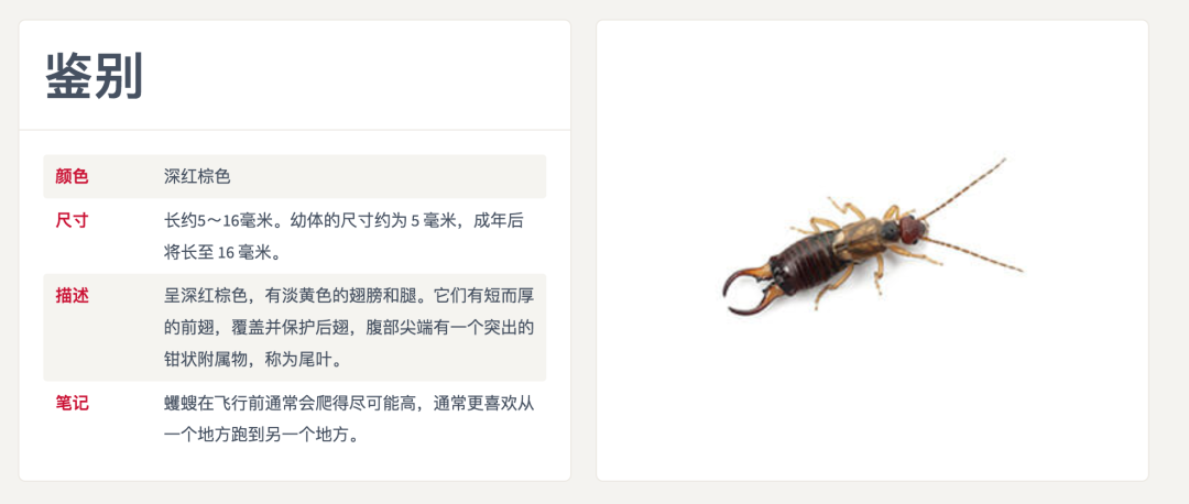 什么!?原来花园、菜园里常见的这种虫不是害虫...... 什么!?原来花园、菜园里常见的这种虫不是害虫......