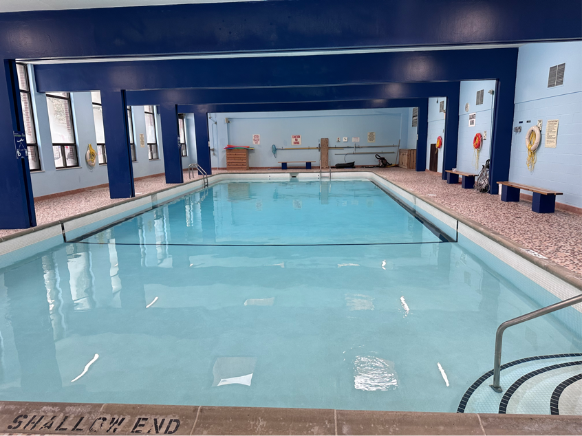 零基础儿童班到成人班！这家游泳俱乐部全都承包！早鸟价了解一下