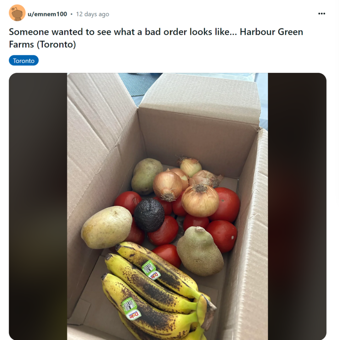 太刺激了!亲测爆火的“剩菜盲盒”!围观Too Good To Go网友晒图,哪家最惊艳? 太刺激了!亲测爆火的“剩菜盲盒”!围观Too Good To Go网友晒图,哪家最惊艳?