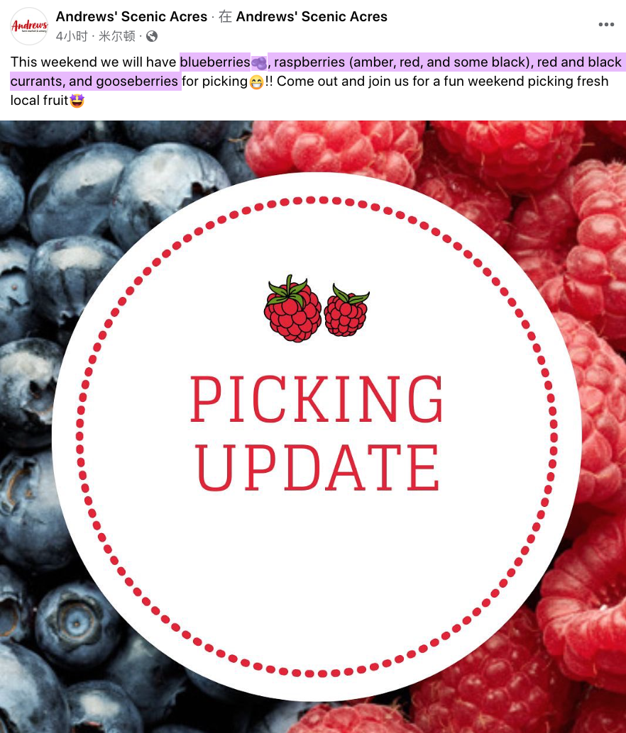 桃子熟了，提前开采！多伦多周边摘桃子农场盘点！