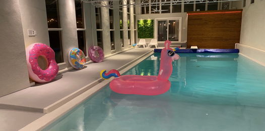 零基础儿童班到成人班！这家游泳俱乐部全都承包！早鸟价了解一下