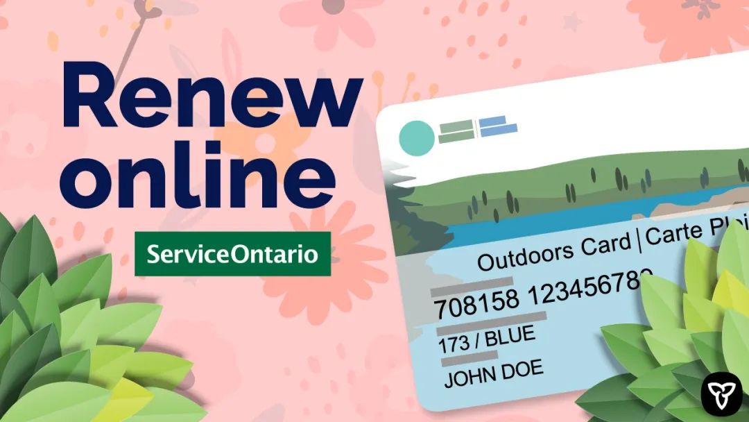 7天24小时在线办理！Service Ontario终于出大招了：55项服务可在线申请