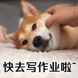 北美中小学老师推荐的7套教辅练习册:全科单科查漏补缺 北美中小学老师推荐的7套教辅练习册:全科单科查漏补缺