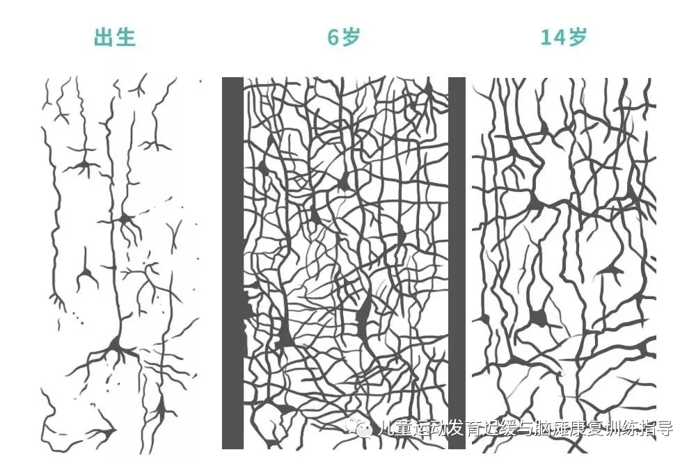 送Wonderland或动物园门票，选一个！独家福利给娃的暑假快乐加码