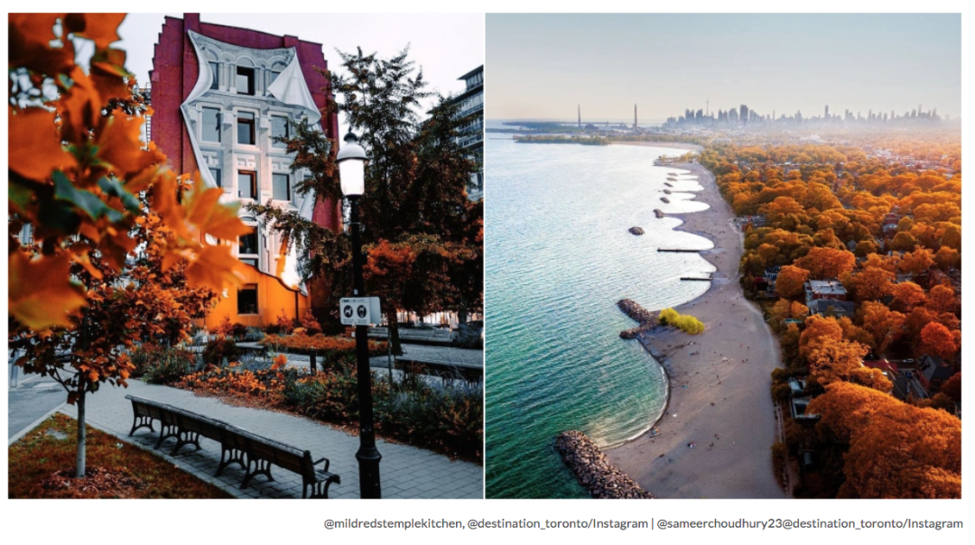 枫叶没红，火车票红了！坐火车赏枫叶要开始抢票了：抢到键盘冒烟