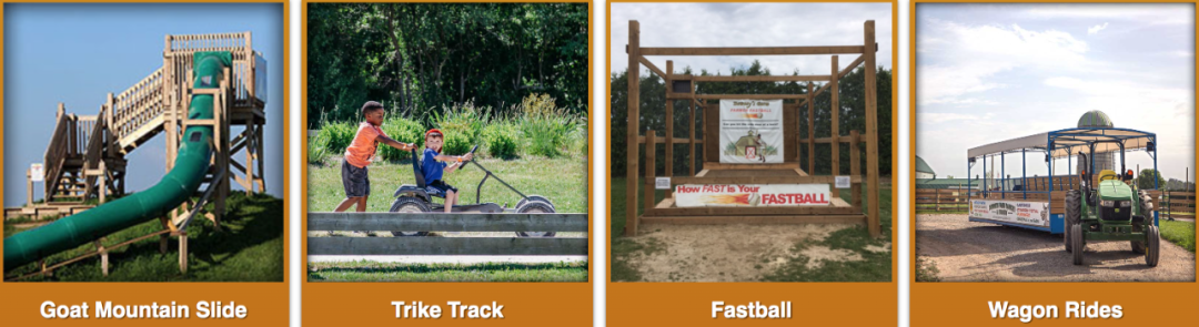 烧脑!好玩!沉浸式放电!多伦多周边7个最火的玉米迷宫 烧脑!好玩!沉浸式放电!多伦多周边7个最火的玉米迷宫