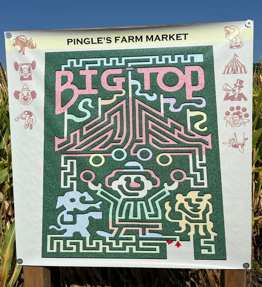 烧脑!好玩!沉浸式放电!多伦多周边7个最火的玉米迷宫 烧脑!好玩!沉浸式放电!多伦多周边7个最火的玉米迷宫