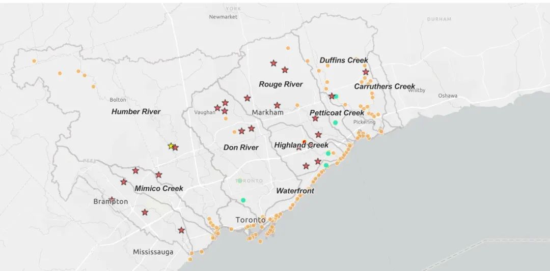 直击灵魂!看到汗毛直竖!起鸡皮疙瘩!三文鱼洄游季:多伦多周边5条最佳观赏河道 直击灵魂!看到汗毛直竖!起鸡皮疙瘩!三文鱼洄游季:多伦多周边5条最佳观赏河道