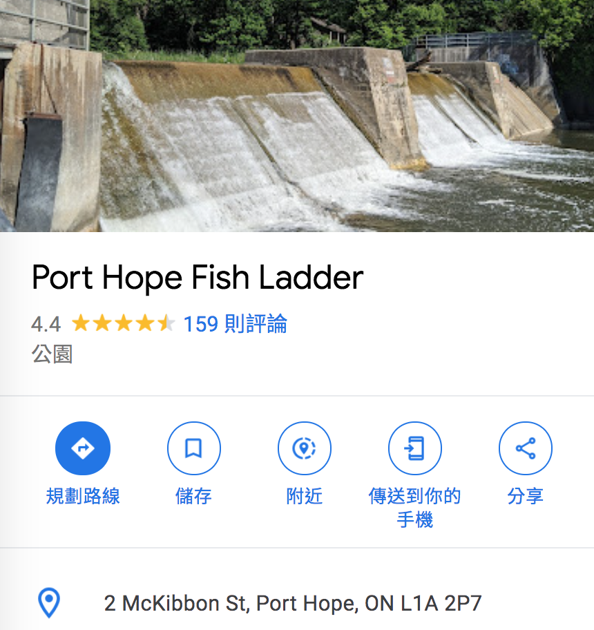 直击灵魂!看到汗毛直竖!起鸡皮疙瘩!三文鱼洄游季:多伦多周边5条最佳观赏河道 直击灵魂!看到汗毛直竖!起鸡皮疙瘩!三文鱼洄游季:多伦多周边5条最佳观赏河道