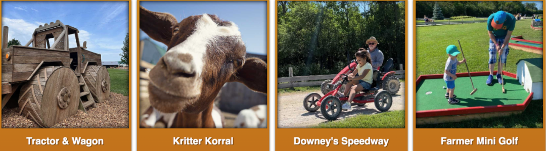 烧脑!好玩!沉浸式放电!多伦多周边7个最火的玉米迷宫 烧脑!好玩!沉浸式放电!多伦多周边7个最火的玉米迷宫