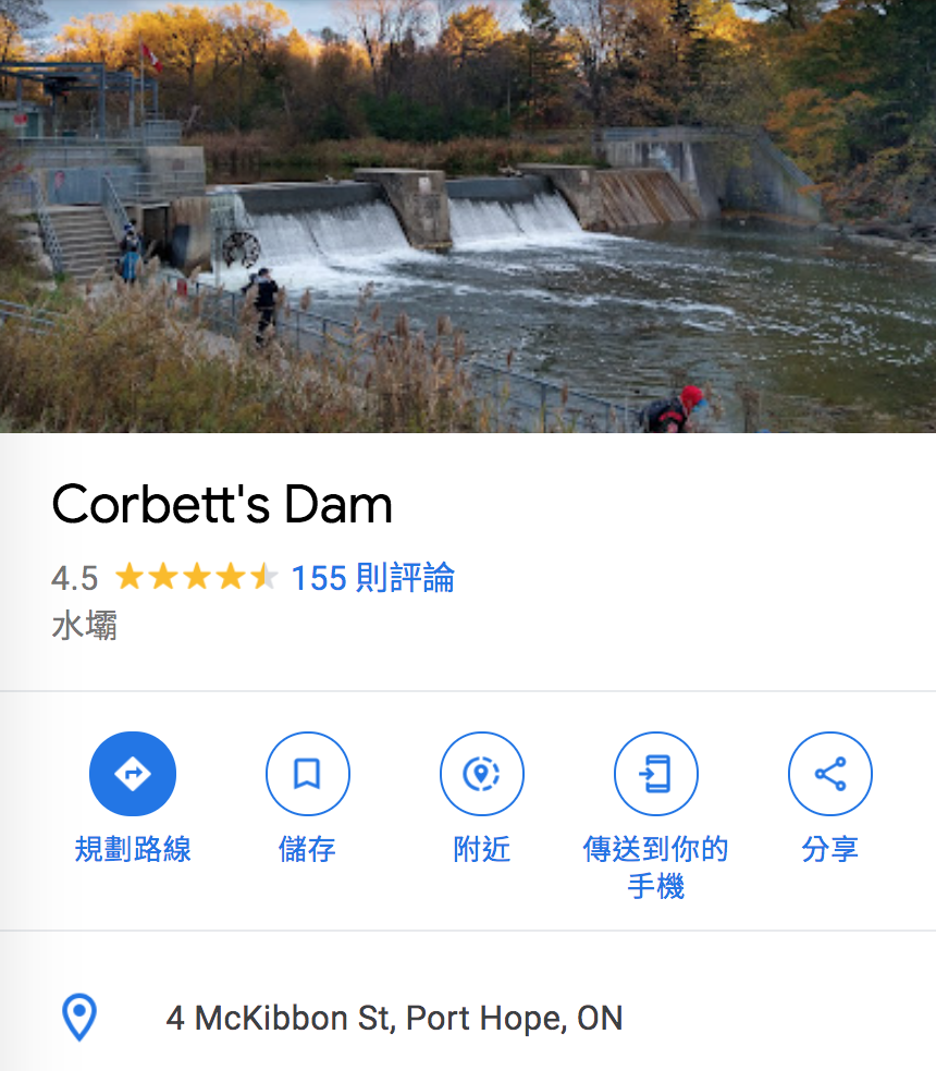 直击灵魂!看到汗毛直竖!起鸡皮疙瘩!三文鱼洄游季:多伦多周边5条最佳观赏河道 直击灵魂!看到汗毛直竖!起鸡皮疙瘩!三文鱼洄游季:多伦多周边5条最佳观赏河道