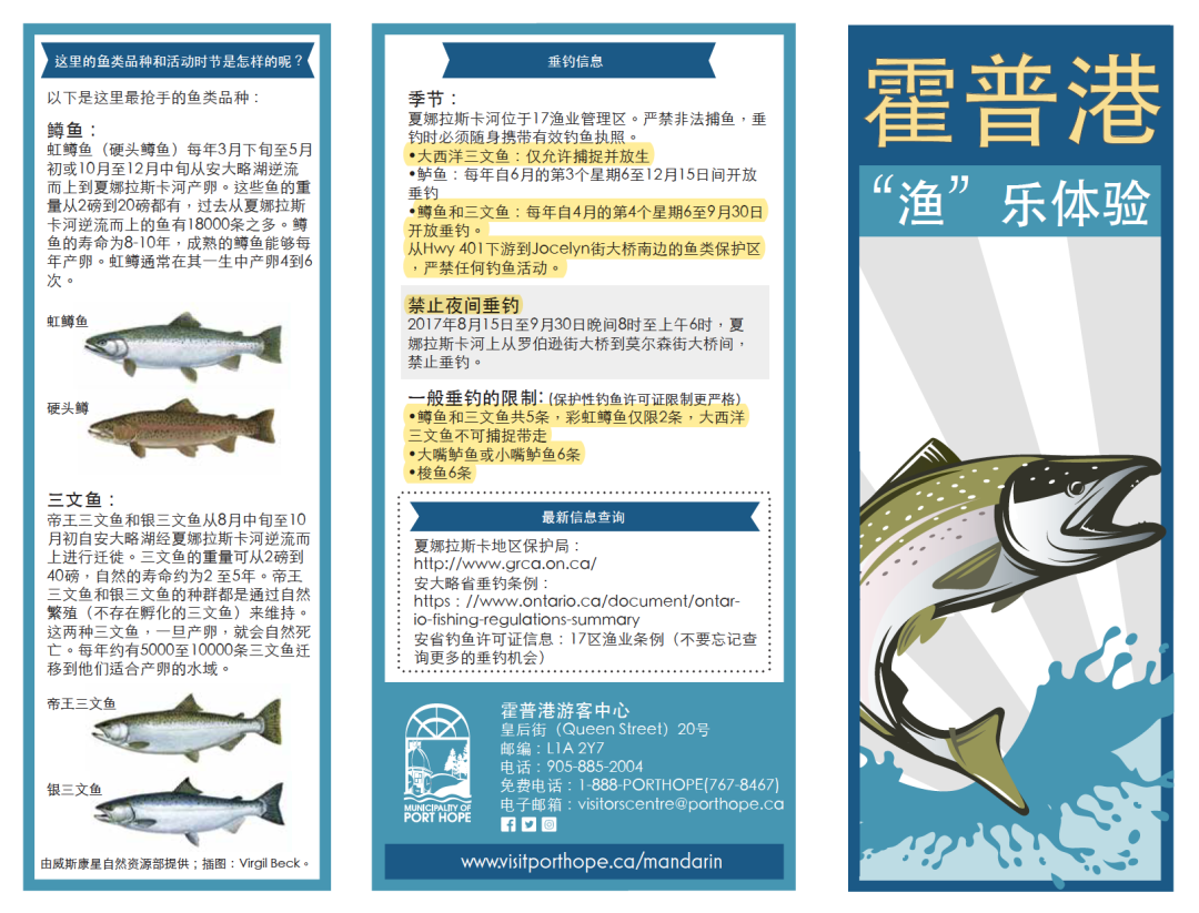 直击灵魂!看到汗毛直竖!起鸡皮疙瘩!三文鱼洄游季:多伦多周边5条最佳观赏河道 直击灵魂!看到汗毛直竖!起鸡皮疙瘩!三文鱼洄游季:多伦多周边5条最佳观赏河道