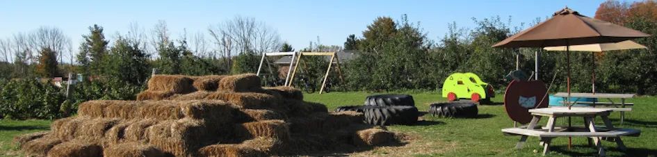 烧脑!好玩!沉浸式放电!多伦多周边7个最火的玉米迷宫 烧脑!好玩!沉浸式放电!多伦多周边7个最火的玉米迷宫