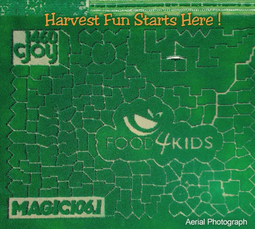 烧脑!好玩!沉浸式放电!多伦多周边7个最火的玉米迷宫 烧脑!好玩!沉浸式放电!多伦多周边7个最火的玉米迷宫