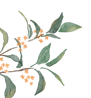 多伦多汉服下午茶，那个温柔娴静的角落